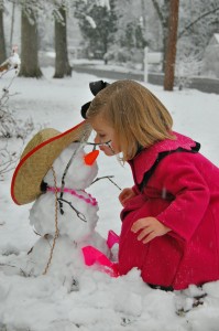 CSC_0047-valentines snow (2)