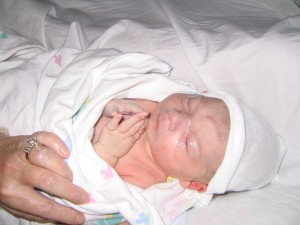 IMG_7758 IMG_7758