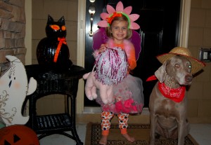 dressu up princess and cowdog