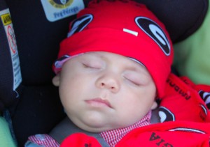 little bulldawg 2 little bulldawg 2