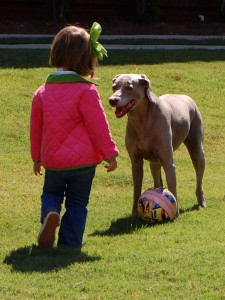 mr sadie ball