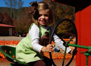 pumpkin patch tractor