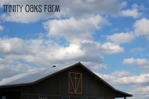 trinity oaks farm